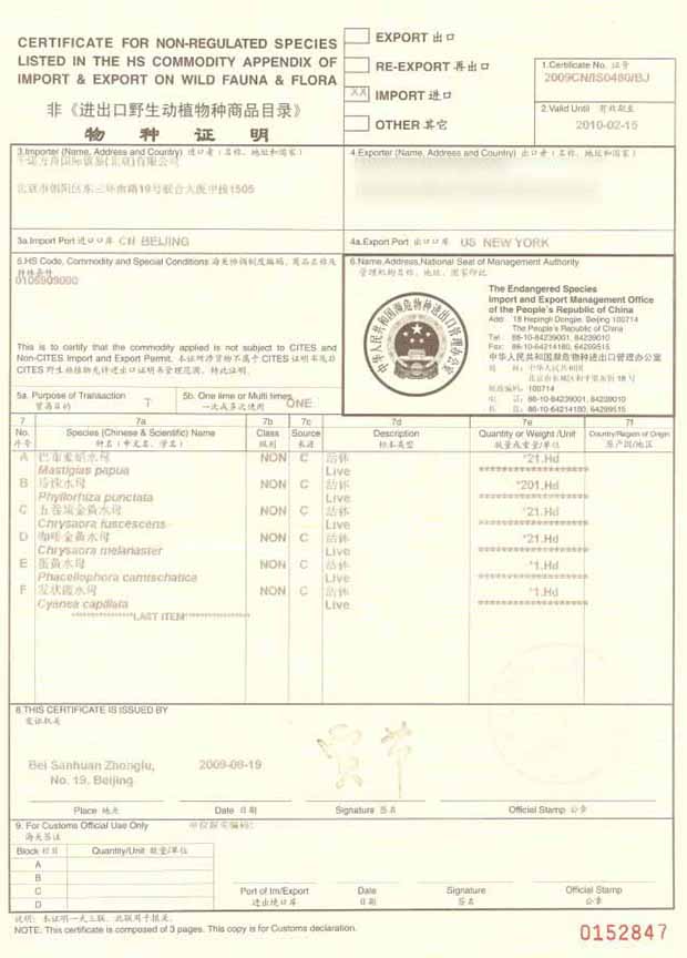 非瀕危物種證明 非瀕危物種證明